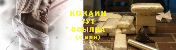 крисы Костерёво